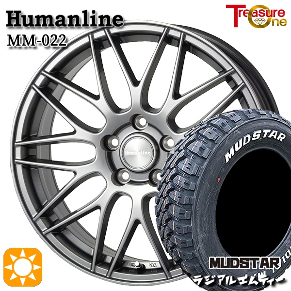 サマータイヤ ホイール4本セット 215/65R16インチ 4H100 RAYS