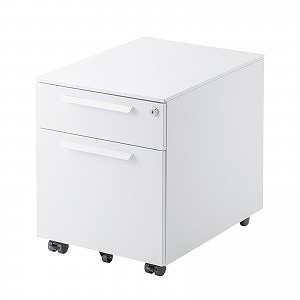 サンワサプライ キャビネット SNW-105W(代引不可)【送料無料】の通販は