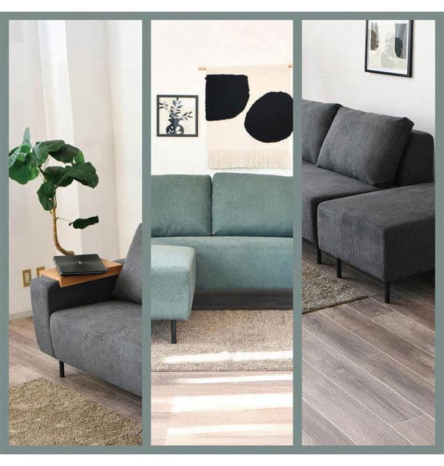 4点セット　ギラウミニアナ現地株(発根済み) ベアルート 4点セット ギラウミニアナ現地株(発根済み) ベアルート 4点セット