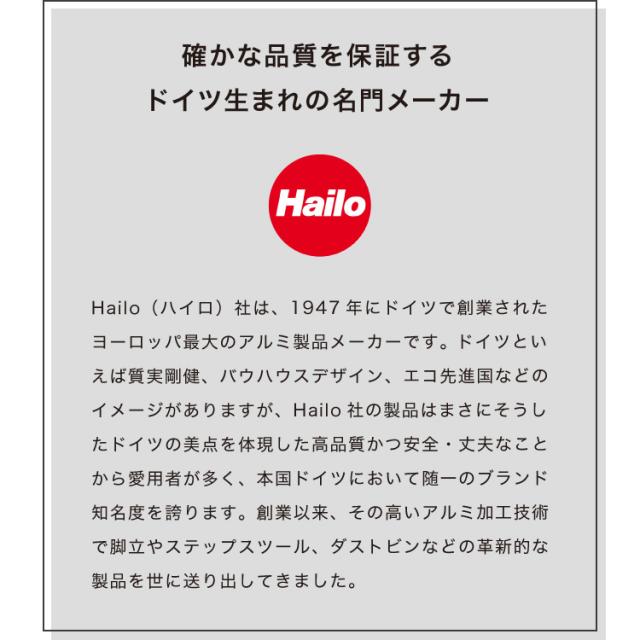 Hailo ハイロ ゴミ箱 ごみ箱 ダストボックス ニュービッグボックス40L