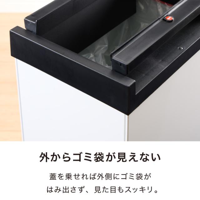 Hailo ハイロ ゴミ箱 ごみ箱 ダストボックス ニュービッグ