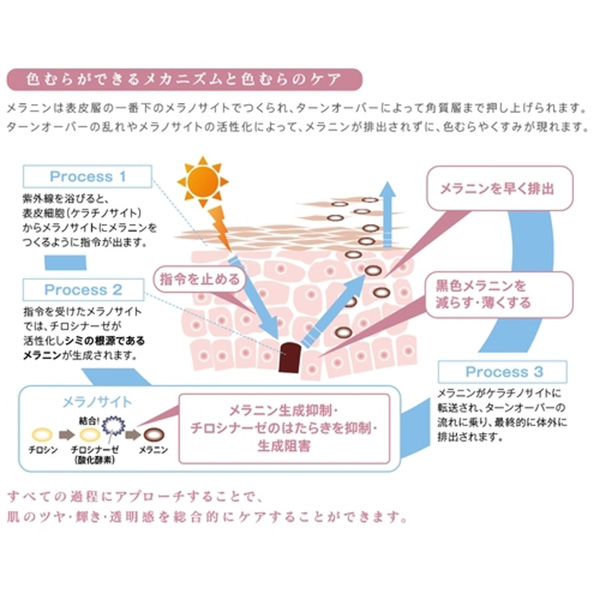 エックスリュークス XLUXES プロケア リバーサーセラムW (10mL×3本入)【送料無料】_3