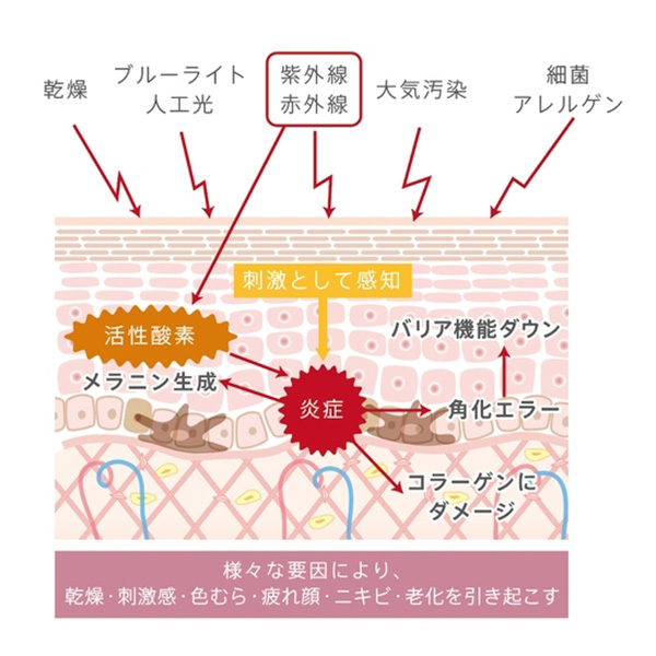 エックスリュークス XLUXES プロケア リバーサーセラムW (20mL×2本入