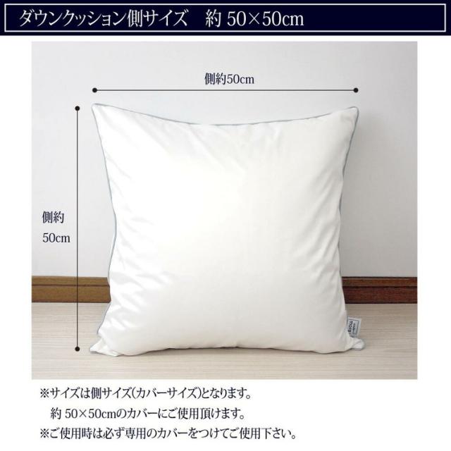 【機能クッションブランドandmore】ダウンクッション 50×50cm 中身 ヌードクッション ダウン フェザー 中材 羽毛 座布団 シート 背あて ヌードクッション ホワイトダック クッションカバー用(代引不可)【送料無料】_1