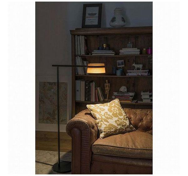 ゴーリキアイランド LOOP LED Black floor lamp FARO INDOOR ライト FA29569(代引不可)【送料無料】_4