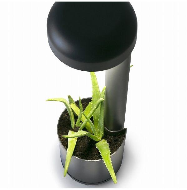ゴーリキアイランド GROW LED Dark grey beacon h50cm FARO OUTDOOR ライト FA71206(代引不可)【送料無料】_2