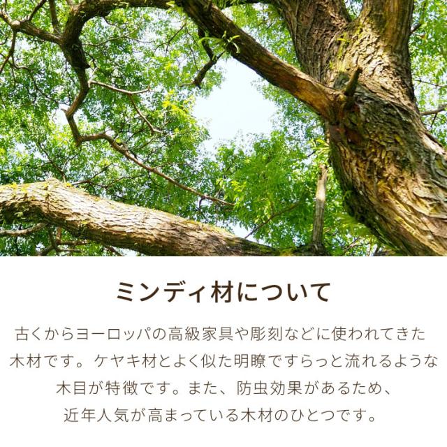 ローボード 幅110 西海岸風 テレビ台 テレビボード AVボード ロータイプ コンパクト TV台 収納家具 収納 大容量 シンプル 省スペース 手作り おしゃれ オシャレ お洒落 かわいい 可愛い 北欧 新生活(代引不可)【送料無料】_7