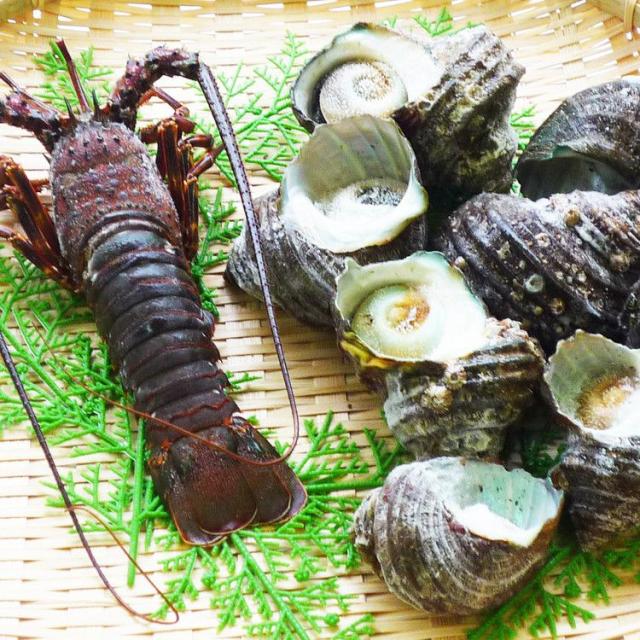 父の日 お中元 徳島 天然伊勢海老と天然サザエ詰合せ ギフト 産直 ご当地グルメ 熨斗 贈り物 のし対応 (代引不可)【送料無料】