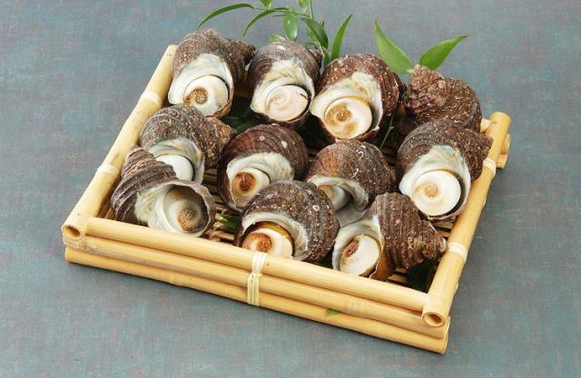 父の日 お中元 徳島 天然伊勢海老と天然サザエ詰合せ ギフト 産直 ご当地グルメ 熨斗 贈り物 のし対応 (代引不可)【送料無料】_1