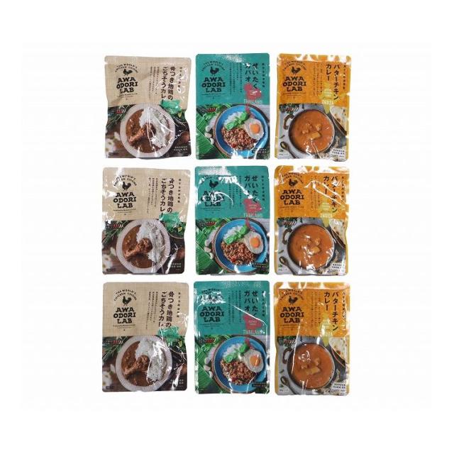 父の日 お中元 徳島 AWAODORI LAB 骨付きカレー ガパオ バターチキンカレー9個セット カレー ギフト 産直 ご当地グルメ 熨斗 贈り物 のし対応 (代引不可)【送料無料】
