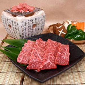 お中元 岐阜 飛騨牛焼肉 差し上げ物 産直 ご当地食い道楽 熨斗 差し上げ物 のし相応う 差し上げ物 生まれ落ちる日