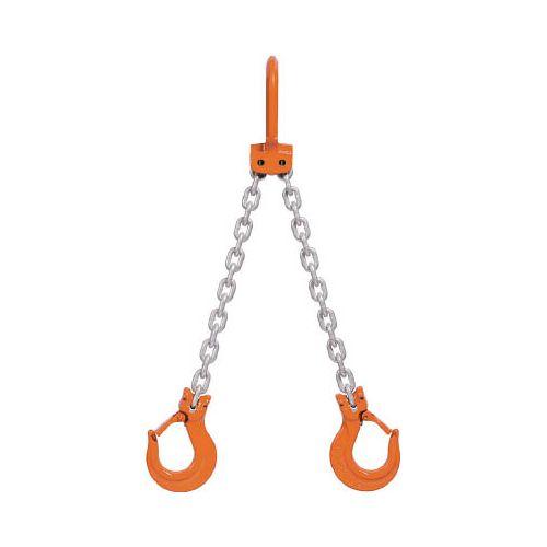 象印 チェーンスリング100(ピンタイプ) 2WH6.3(代引き不可)【送料無料】