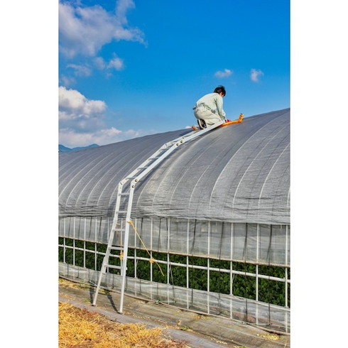 HARAX ハウス用昇降梯子 ハウスステップ HARAX VHS2800 工事 照明用品 はしご 脚立 脚立(代引不可)【送料無料】の通販は