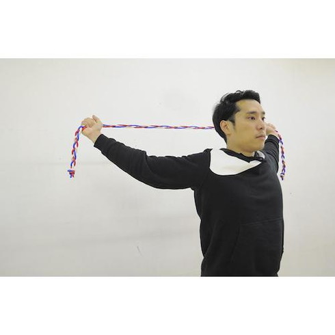 ハルメソッド 楽体アスリート ハルメソッド RAKUDAATHLETE 清掃 衛生用品 労働衛生用品 健康促進用品(代引不可)【送料無料】の通販は