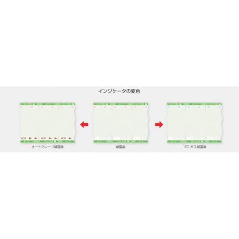 日油技研 滅菌バッグ オートクレーブ 滅菌/EOガス滅菌 両用バッグ ロールタイプ TS-3002 日油技研 TS3002 研究用品 理化学用品 試薬 計測器(代引不可)【送料無料】_2