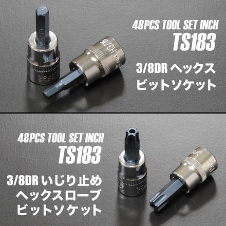 アストロプロダクツ ツールセット インチ48点組 TS183 ワールドツール 手作業工具 工具セット 手提げタイプ(代引不可)【送料無料】