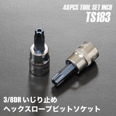 アストロプロダクツ ツールセット インチ48点組 TS183 ワールドツール 手作業工具 工具セット 手提げタイプ(代引不可)【送料無料】