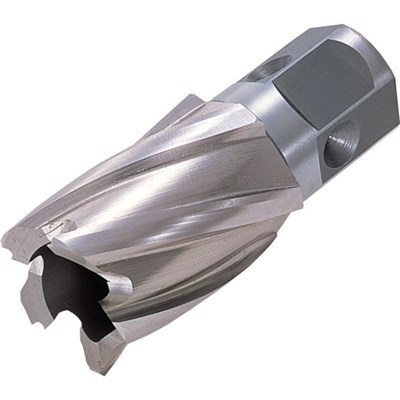 日東 ハイブローチ ワンタッチタイプ 17X25L 16217 NO.16217 切削工具 穴あけ工具 磁気ボール盤カッター(代引不可)【送料無料】の通販は