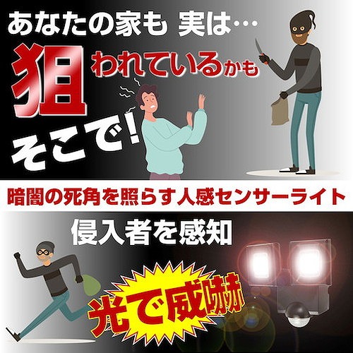 ELPA ソーラー式検出器ともし火2灯 ESLN112SL 周囲の状況立ちなおる装具 防災・防犯装具 防犯用検出器ともし火(代引不可)【貨物輸送無料】