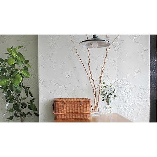 ニッぺ STYLE MORUMORU 4976124882548 工事・照明用品 塗装・内装用品 塗料(代引不可)【送料無料】_2