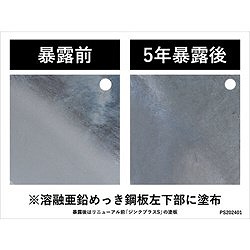 NIS ジンクプラスネオS 5Kg PS003 化学製品 化学製品 防錆剤(代引不可)【送料無料】_1