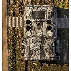Bushnell トロフィーカムXLT30MPノーグロウSC4K 119949C 測定 計測用品 光学 精密測定機器 双眼鏡 単眼鏡(代引不可)【送料無料】_1