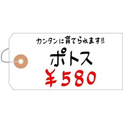 ササガワ 布荷札 白 防水加工仕上 25170 オフィス 住設用品 オフィス備品 店舗用品(代引不可)【送料無料】_2