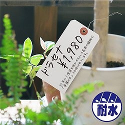 ササガワ 布荷札 白 防水加工仕上 25170 オフィス 住設用品 オフィス備品 店舗用品(代引不可)【送料無料】_3