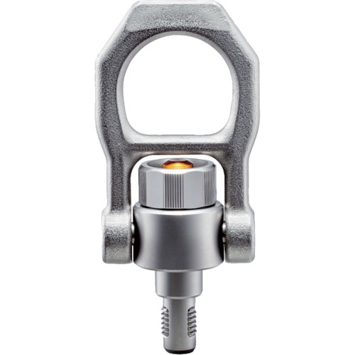 HALDER ネジ山クランプ式リフティング ピン スイベルタイプ ステンレス鋼 22353.1008 荷役用品 吊りクランプ スリング 荷締機 アイボルト(代引不可)【送料無料】