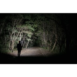 GENTOS ヘッドライト ティーレックス TX-D434R ジェントス 工事 照明用品 作業灯 照明用品 ヘッドライト TX-D434R(代引不可)【送料無料】_2