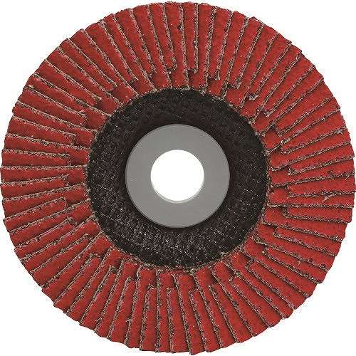 【10個セット】レヂボン アートディスクAD 100×15 CE100SW AD100CE100SW 電動・油圧・空圧工具 研削研磨用品 ディスクペーパー(代引不可)【送料無料】