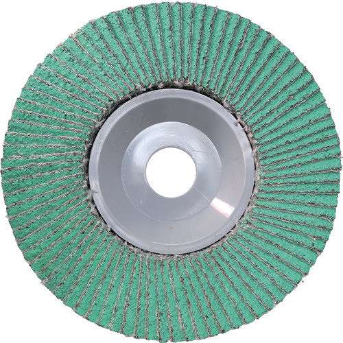 【10個セット】レヂボン アートディスクAD 100×15 GZ60S AD100GZ60S 電動・油圧・空圧工具 研削研磨用品 ディスクペーパー(代引不可)【送料無料】_1