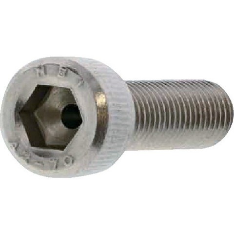 SUNCO SUSエアー抜キCAP (全ネジ) 6×15 (200本入) A002J0000060015000(代引不可)【送料無料】