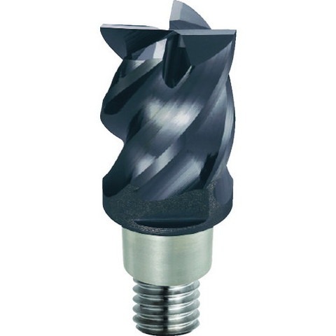 EVISEN エビセン スケートボード デッキ ゑびせん MOUNTAIN HIGH DECK