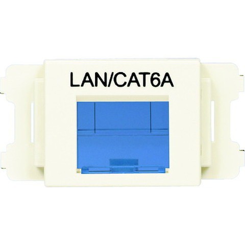 パンドウイット JISプレート用シャッター付キアダプタ オフホワイト LAN・CAT6A (10個入) CMASSP6AIWX(代引不可)【送料無料】の通販は