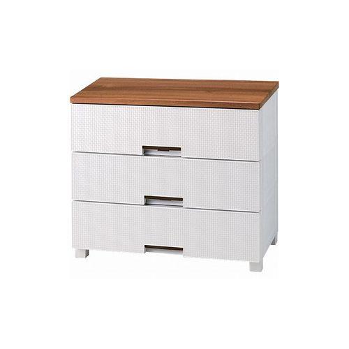 油彩画 館内美智子 らん 絵画