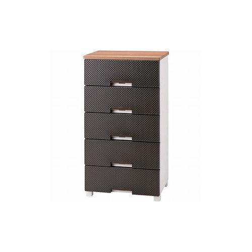 TENMA フィッツプラス メッシュ FM5505 110006999 天馬(株) 収納用品 チェスト(代引不可)【送料無料】の通販は 20,940円