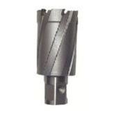 育良 ライトボーラー用替刃(超硬刃)(51105) CRSQ330 電動 油圧 空圧工具 電動 油圧 空圧工具 電動工具 磁気ボール盤(代引不可)【送料無料】