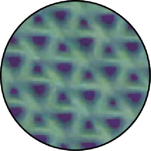 ３Ｍ エントラップ マット スタンダード・アンバック 900mm×1500mm(送料無料)(受注生産品)(全色対応G2) 3M エントラップマット スタンダード・アンバック グレー 900X1500mm