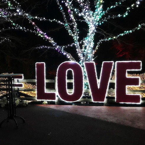 トライト LEDチューブストリング ホワイト L3000 トライト NTCW19930P2 工事 照明用品 作業灯 照明用品 照明器具(代引不可)【送料無料】