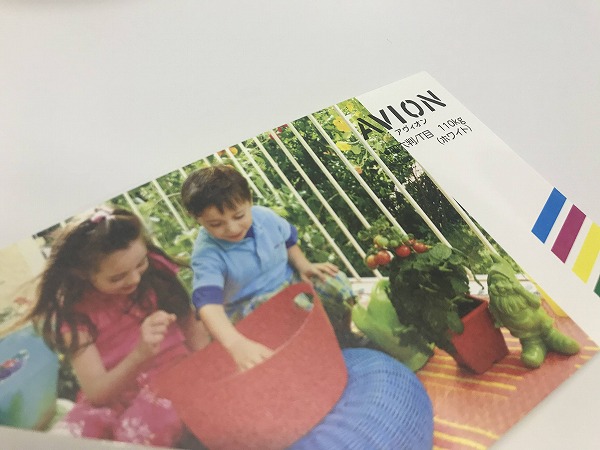 アヴィオンホワイト 100枚パック A4 Ｙ 209.3ｇ（180kg） 100枚(代引不可)【メール便配送】【送料無料】