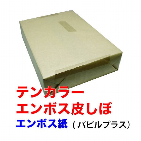 テンカラーエンボス皮しぼ 浅黄 151.3ｇｍ2（130kg） 100枚パック A3 Ｙ 100枚(代引不可)【送料無料】_1