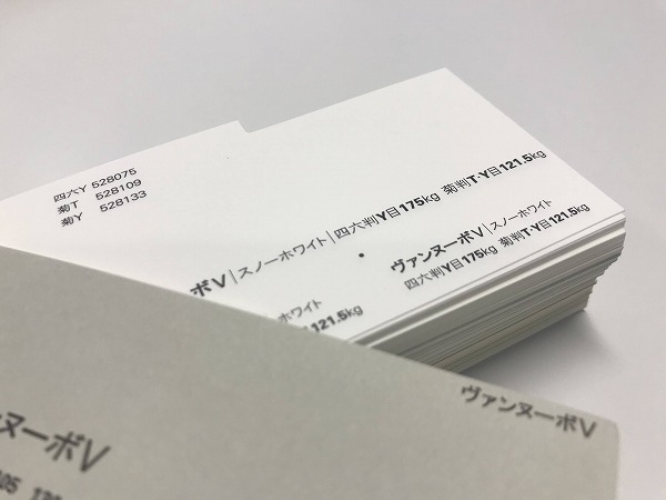 ヴァンヌーボVスノーホワイト A4 Y 203.4g (175kg) 900枚(代引不可)【送料無料】_2