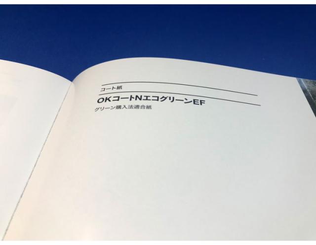 王子製紙 コピー用紙 再生光沢コート紙 A4 T 104.7g(90kg) OKコートNエコグリーンEF 再生コート紙 グロス(代引不可)【送料無料】_2