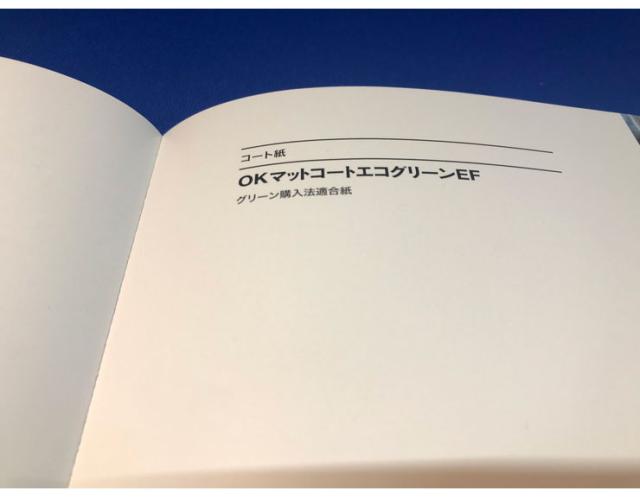 王子製紙 コピー用紙 再生マット紙 B4 Y 127.9g(110kg) OKマットコートエコグリーンEF 再生コート紙 マット(代引不可)【送料無料】_2
