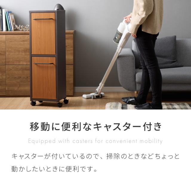 セトクラフト ゴミ箱 分別 縦型 2段 ガルバリウム鋼板&ステンレス