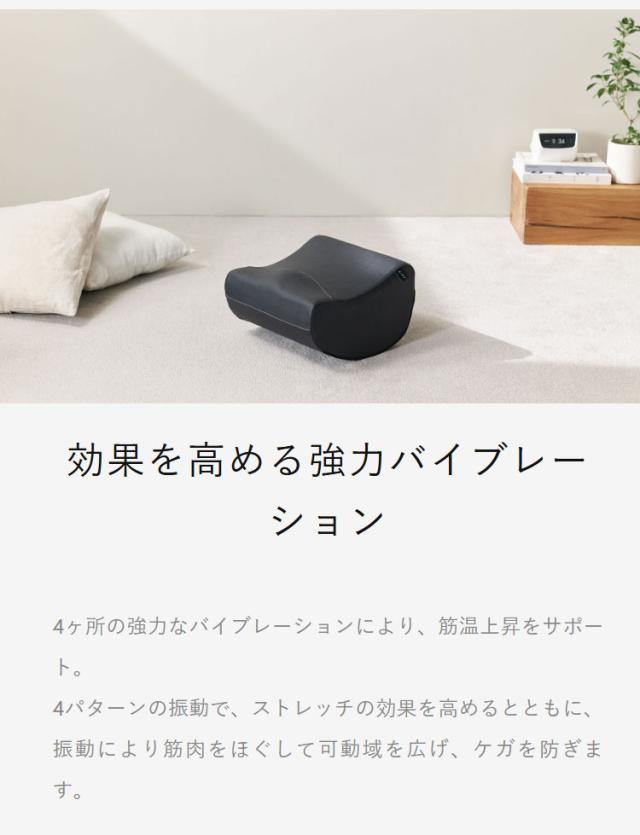 AiMY フレックスウェーブ プロ ストレッチ ケア ケガ防止 筋膜リリース 柔軟運動 体操 バイブレーション 振動 お家時間 自宅 AIM-FN061【送料無料】_3