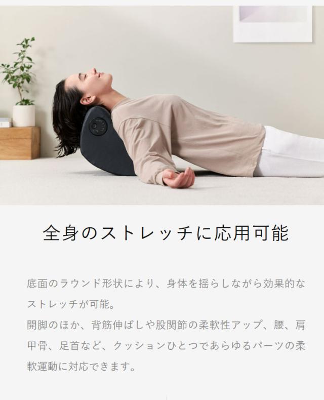 AiMY フレックスウェーブ プロ ストレッチ ケア ケガ防止 筋膜リリース 柔軟運動 体操 バイブレーション 振動 お家時間 自宅 AIM-FN061【送料無料】_4