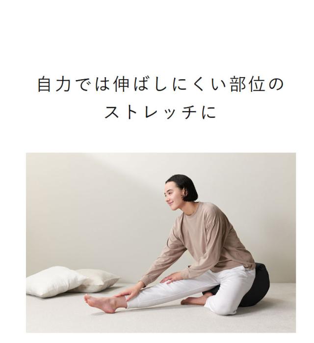 AiMY フレックスウェーブ プロ ストレッチ ケア ケガ防止 筋膜リリース 柔軟運動 体操 バイブレーション 振動 お家時間 自宅 AIM-FN061【送料無料】_7