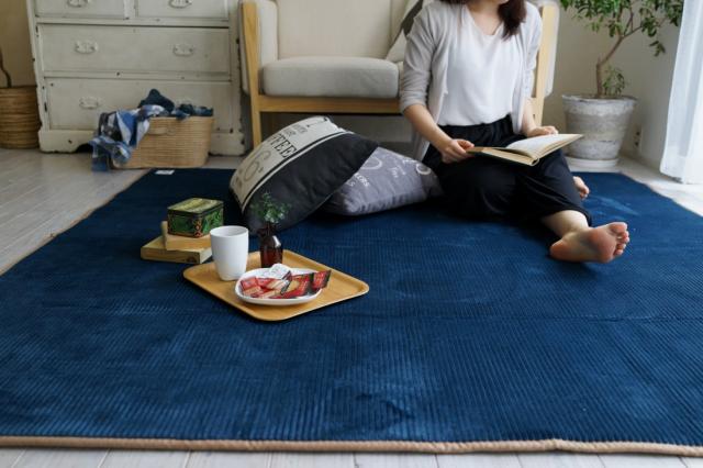 フランネルストライプ グルーヴ 185X240 BE ラグマット 秋 冬 西海岸 マット  カーペット ホットカーペット 国産 (代引不可)【送料無料】の通販は 9,157円